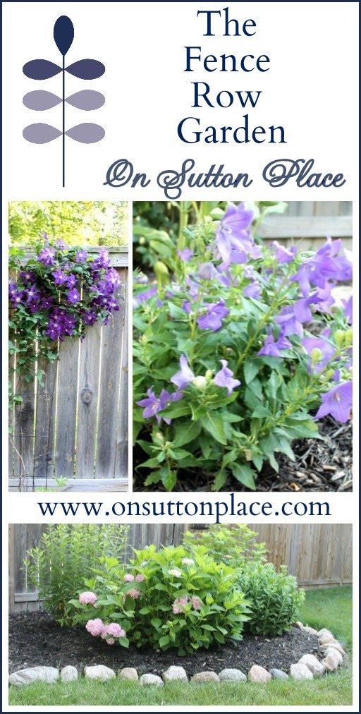 How To Plant a Fence Row Garden