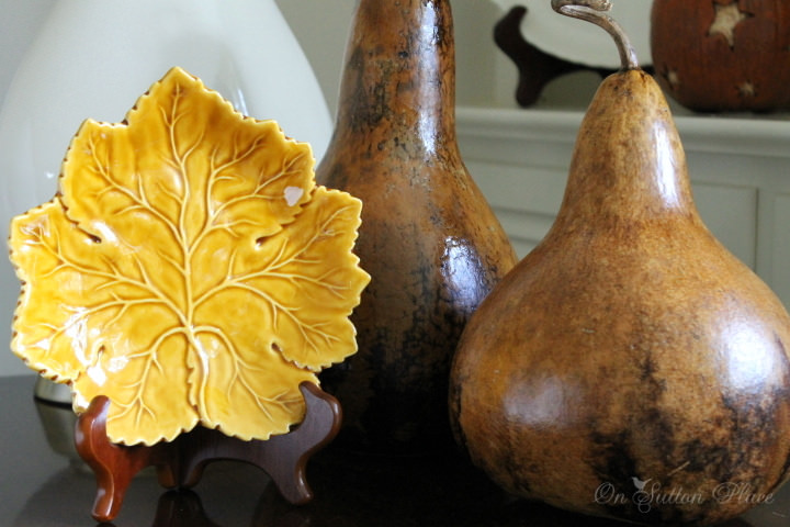 Gourds ~ Who Knew?