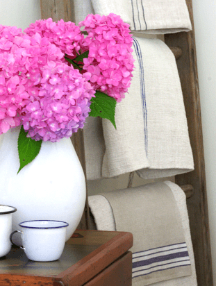 Vintage Ladder Decor
