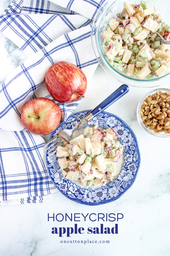 Honeycrisp Apple Salad A Starch Free Cookbook Honeycrisp Apple and