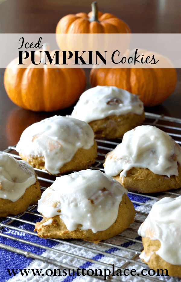 iced pumpkin cookie recipe Iced Pumpkin Cookie Recipe