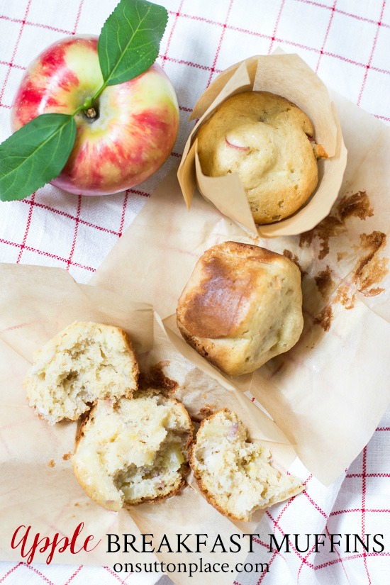 These easy apple breakfast muffins are quick to make and delicious. The perfect recipe for those busy mornings when you need breakfast on the go!