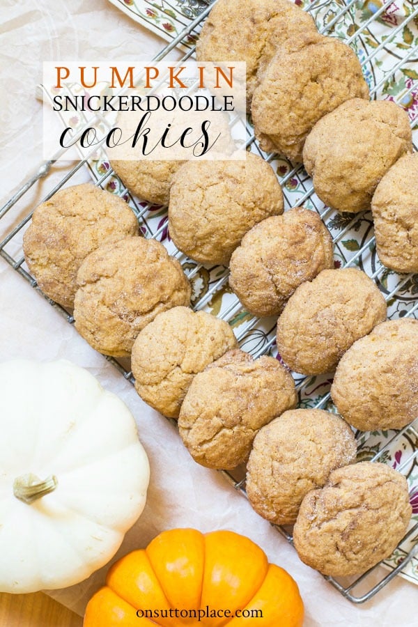Pumpkin Snickerdoodle Cookies. An easy recipe with a twist on the traditional Snickerdoodle cookie. Great Thanksgiving dessert idea or after school snack.