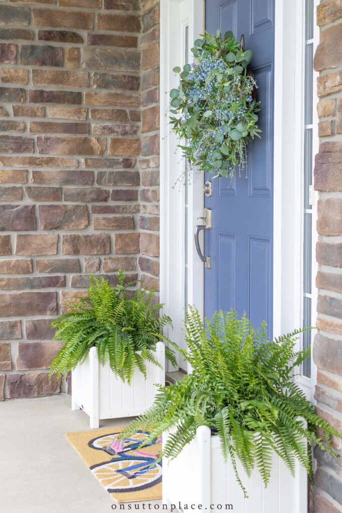 front door painted Sherwin Williams Distance with fern planters