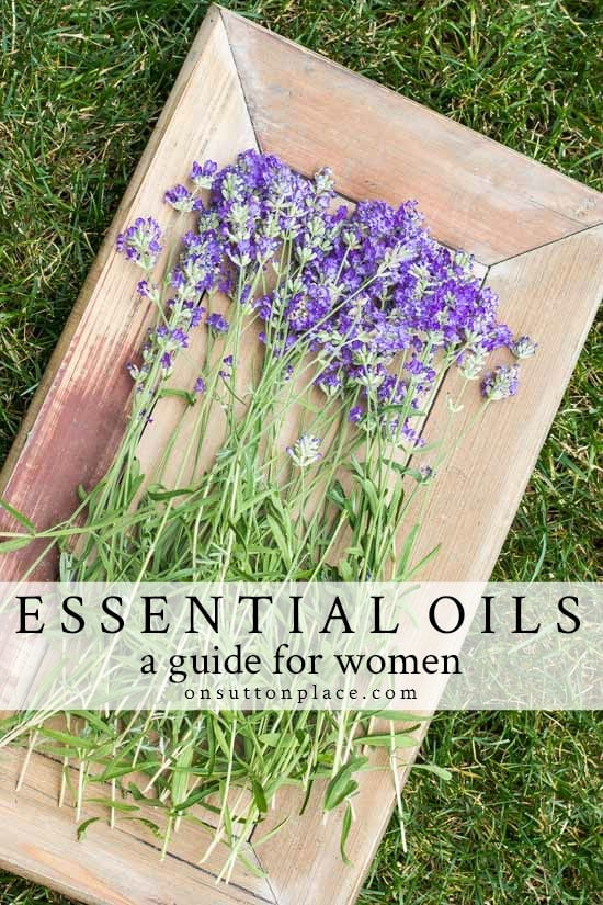 essential oils guide for women lavender pin with text