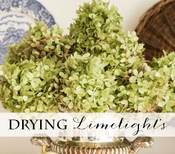 How to Dry Limelight Hydrangeas from On Sutton Place