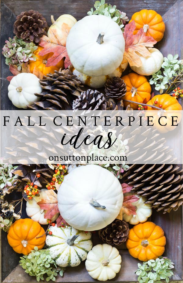 Thanksgiving Fall Centerpiece Ideas that are easy and budget-friendly. Tips on layering and using natural elements like pumpkins, bittersweet, and boxwood. #fall #autumn #falldecor #falldecorideas #pumpkins #centerpiece #centerpieceidea #thanksgiving #thanksgivingideas