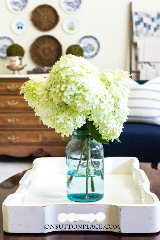 Growing Limelight Hydrangeas | Late Summer | Tips for getting huge blooms in late summer from a DIY gardener.