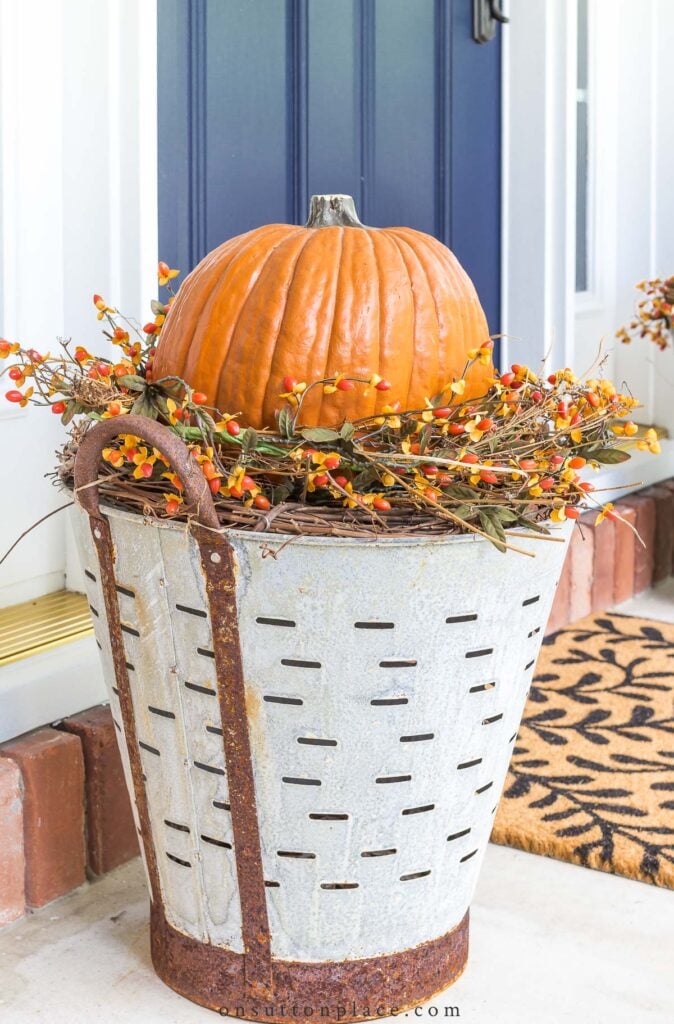 olive bucket pumpkin planter 2022