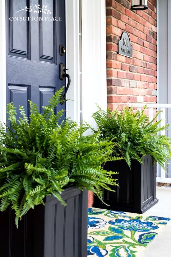 front door planters white navy blue front door with porch planters filled ferns the easiest front porch planters ever on sutton place front door planters white navy blue front door with porch planters filled ferns the easiest front porch planters ever on sutton place
