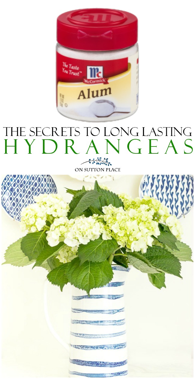 Love hydrangeas? Learn the secrets to long lasting cut hydrangeas! These simple tips will keep your hydrangeas fresh and beautiful for a week or longer. #flowers #garden #hydrangeas