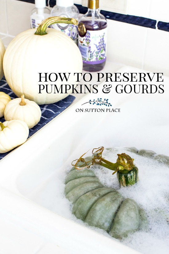An easy and quick method, using just three ingredients, to preserve pumpkins & gourds for your fall decor. This takes just a few minutes! How to make pumpkins last longer.