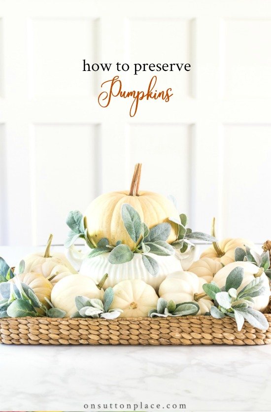 How to Preserve Pumpkins & Gourds An Easy & Quick Method