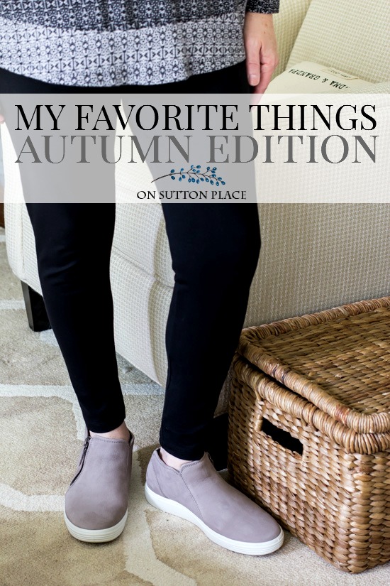 A rundown of my favorite things autumn edition that includes make-up, clothing, gift ideas, dog treats and more. Easy to shop links with details. #giftguide