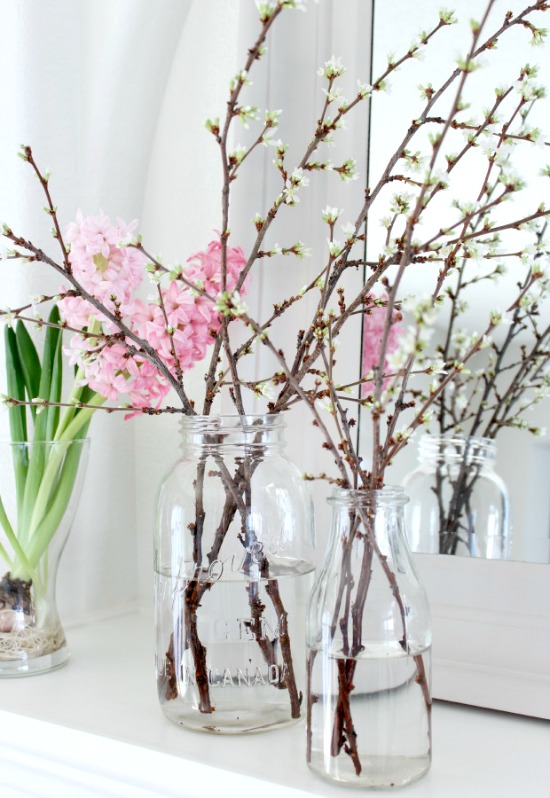 Easy Spring Project: Forcing Branches to Bloom