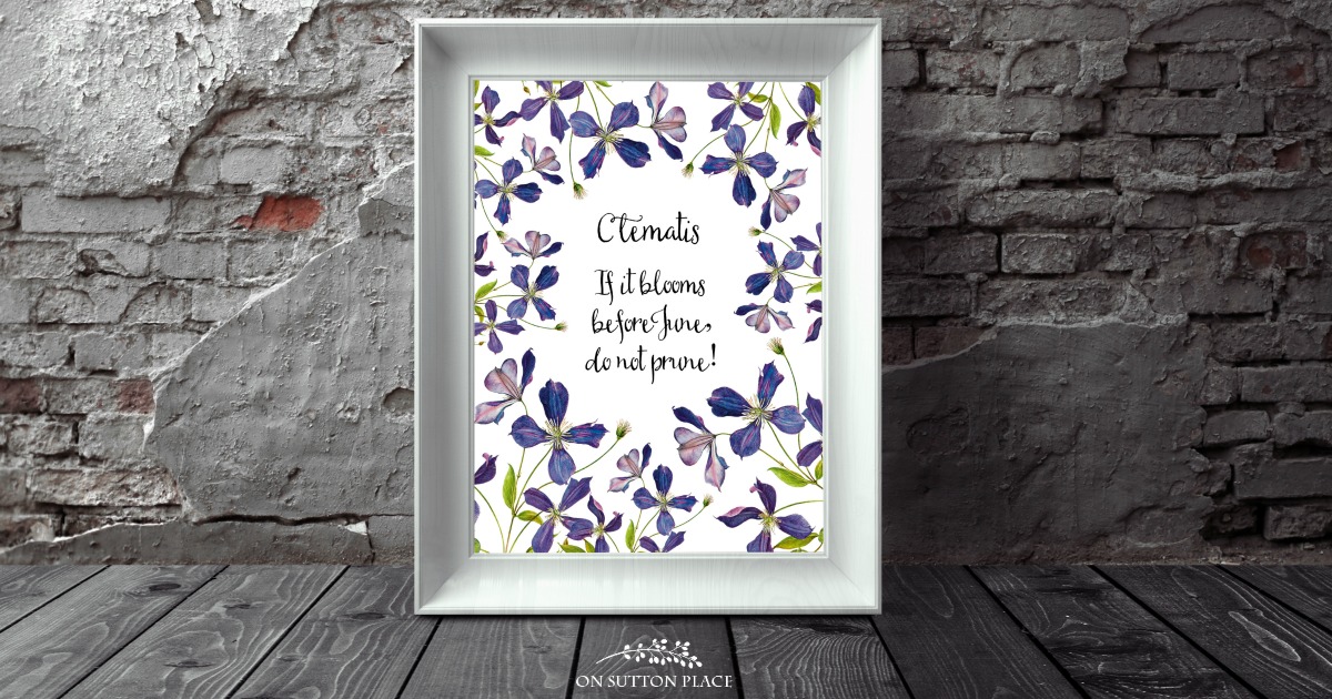 Garden Pruning Guide What to Prune & When On Sutton Place