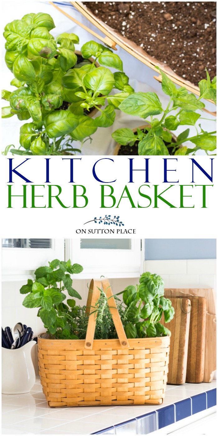 Bring the outdoors in by making this fresh kitchen herb garden basket. An easy way to have your favorite herbs right there while you're cooking!
