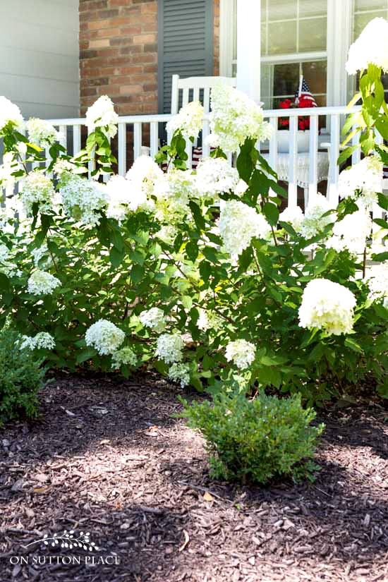 Garden Pruning Guide: What to Prune and When. Easy to follow guide for basic plant and shrub categories. Perfect for the beginner gardener!