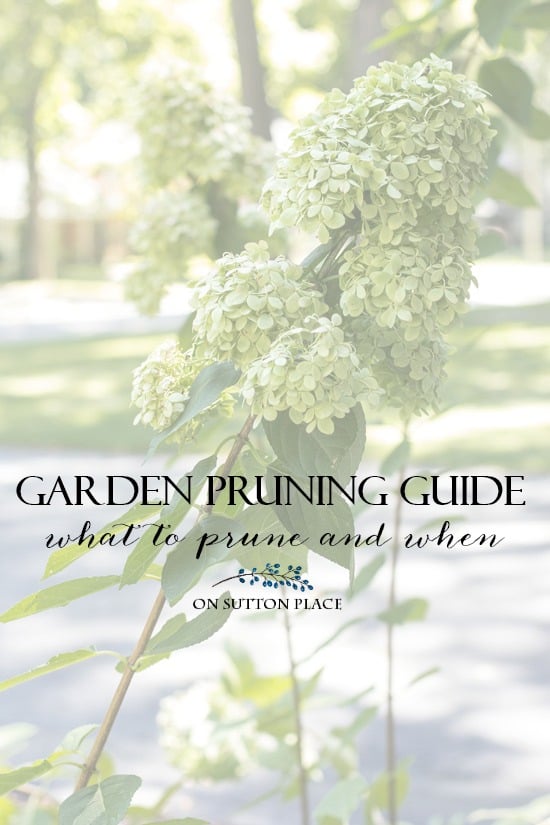 An easy-to-follow garden pruning guide for basic plant and shrub categories that is perfect for the beginner gardener!