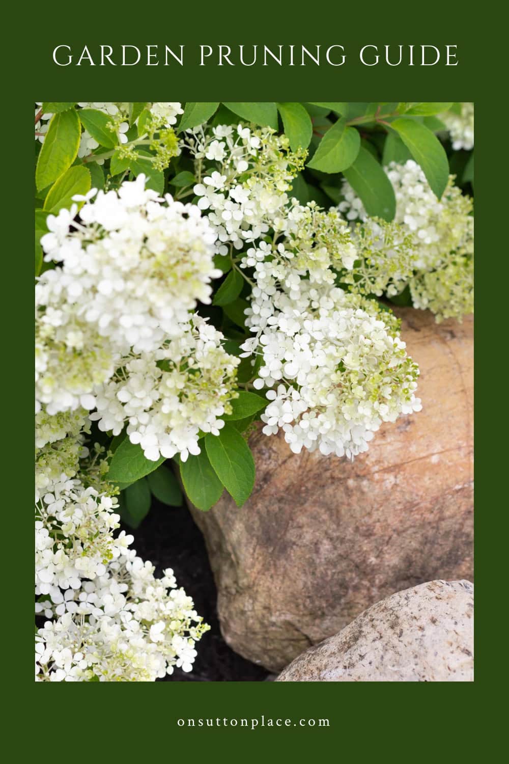 Garden Pruning Guide: What to Prune & When - On Sutton Place