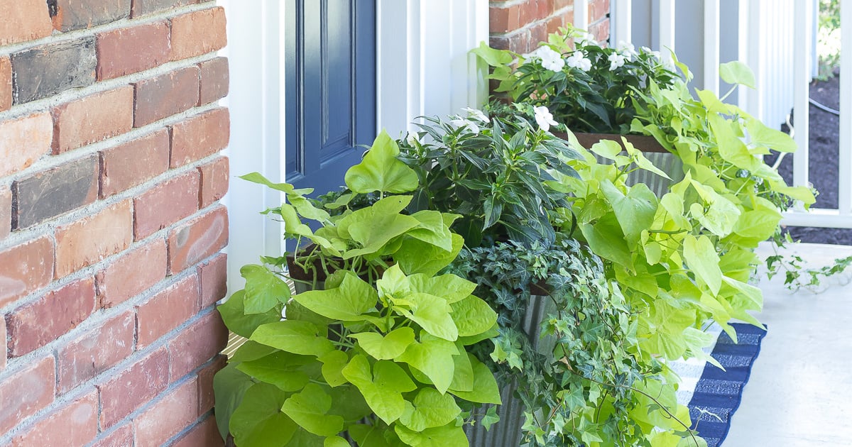 5 ways to make a front door look more expensive in an instant