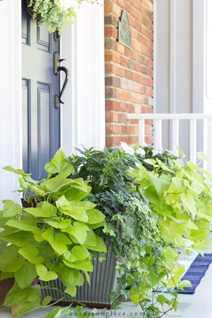 refresh your front door fi