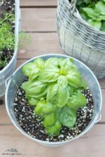 Container Herb Garden Ideas: Grow Your Own! - On Sutton Place