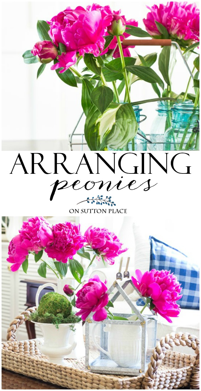 Use these tips & tricks for arranging peonies to easily display this beautiful flower in your home. Includes suggestions for preparation and vessels. #peony #peonies #gardens #gardening #flowers #pink