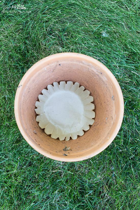 coffee filter in garden pot diy gardening tips