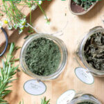 drying herbs in the oven tall pin with outline text