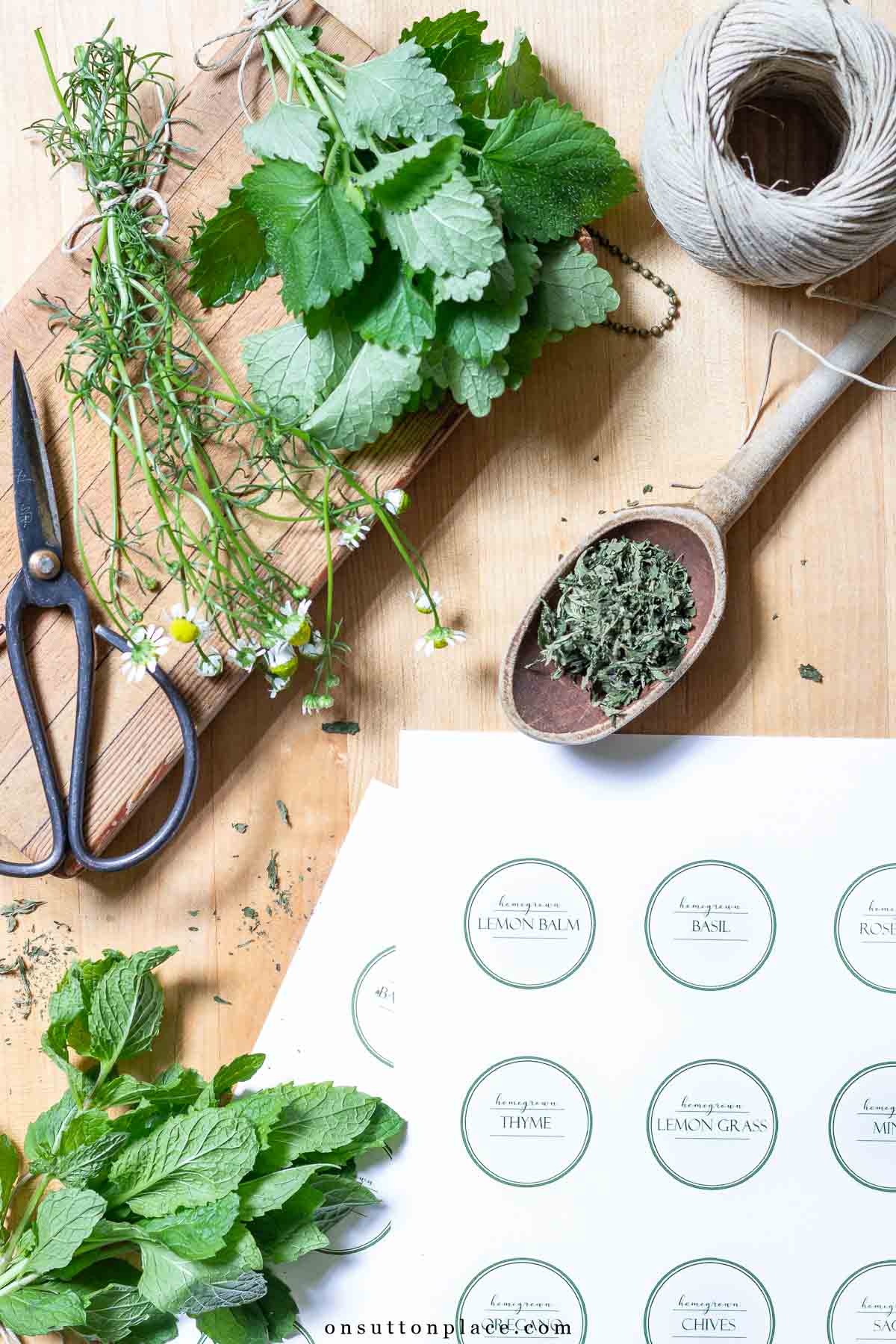 free printable tags for dried herbs 2025