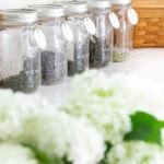 how to dry herbs in the oven pin with text