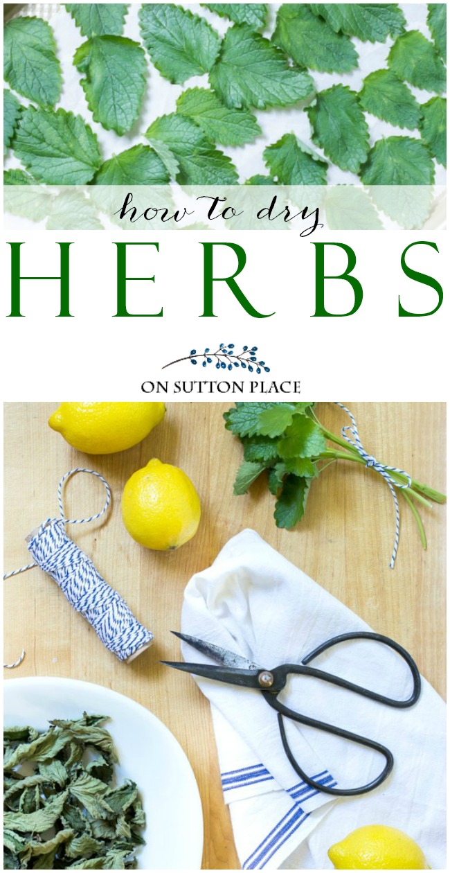 An easy guide for drying herbs in the oven. Dried herbs are perfect for making tea, seasoning your favorite dish, or gift giving.