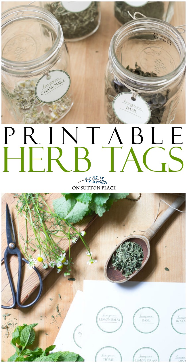 Make storing dried herbs easy and pretty with these printable herb tags. A DIY project that will look great in your kitchen and is perfect for gift-giving. #garden #gardening #herballife #preserving #freeprintable #printable #tag