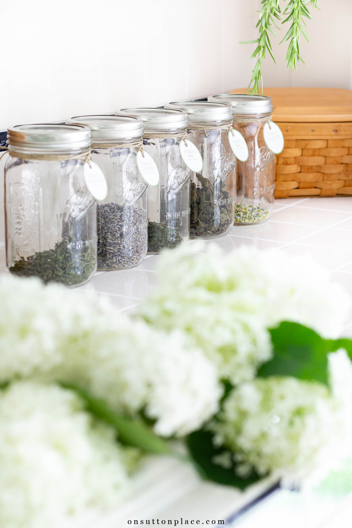 row of jars with dried herbs and free printable tags 2025