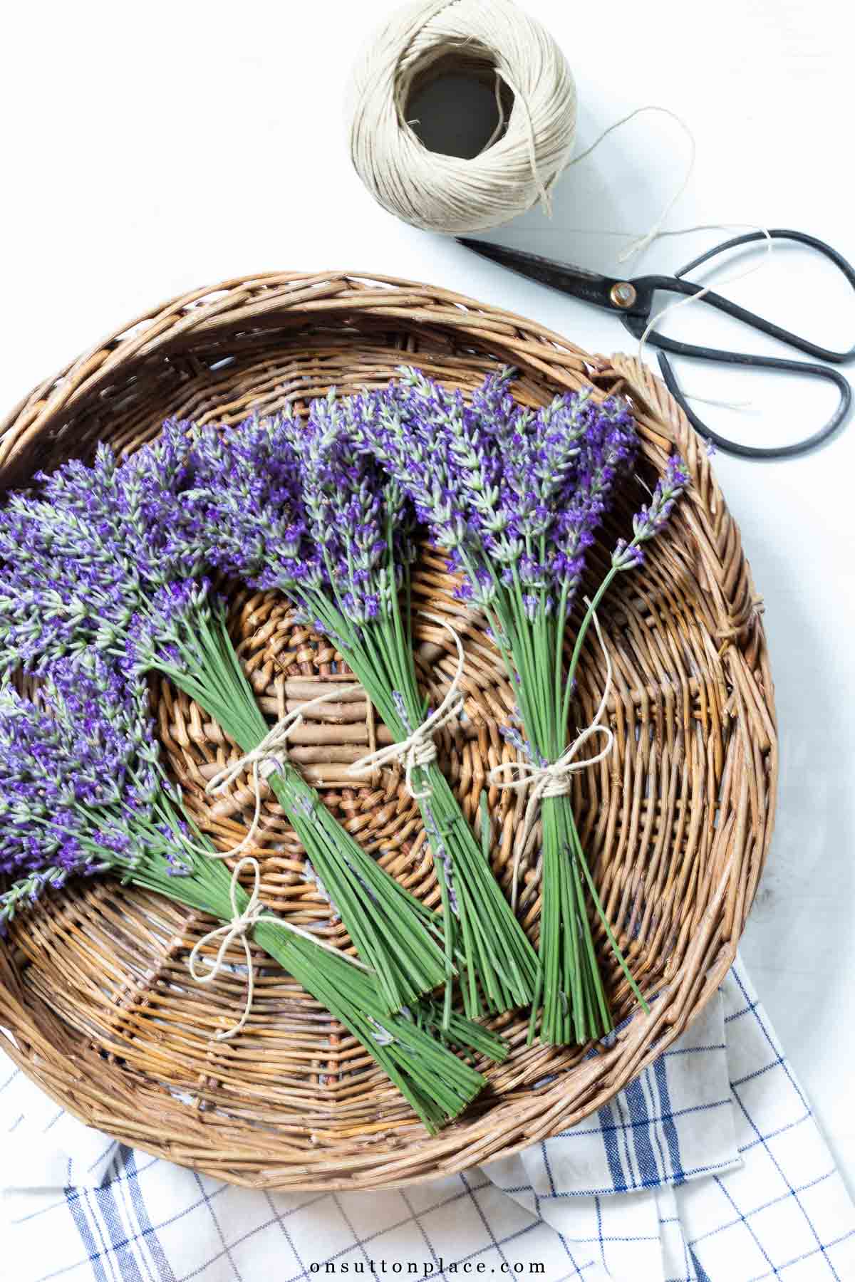 bunches of lavender stems tied with twine in round basket 2025