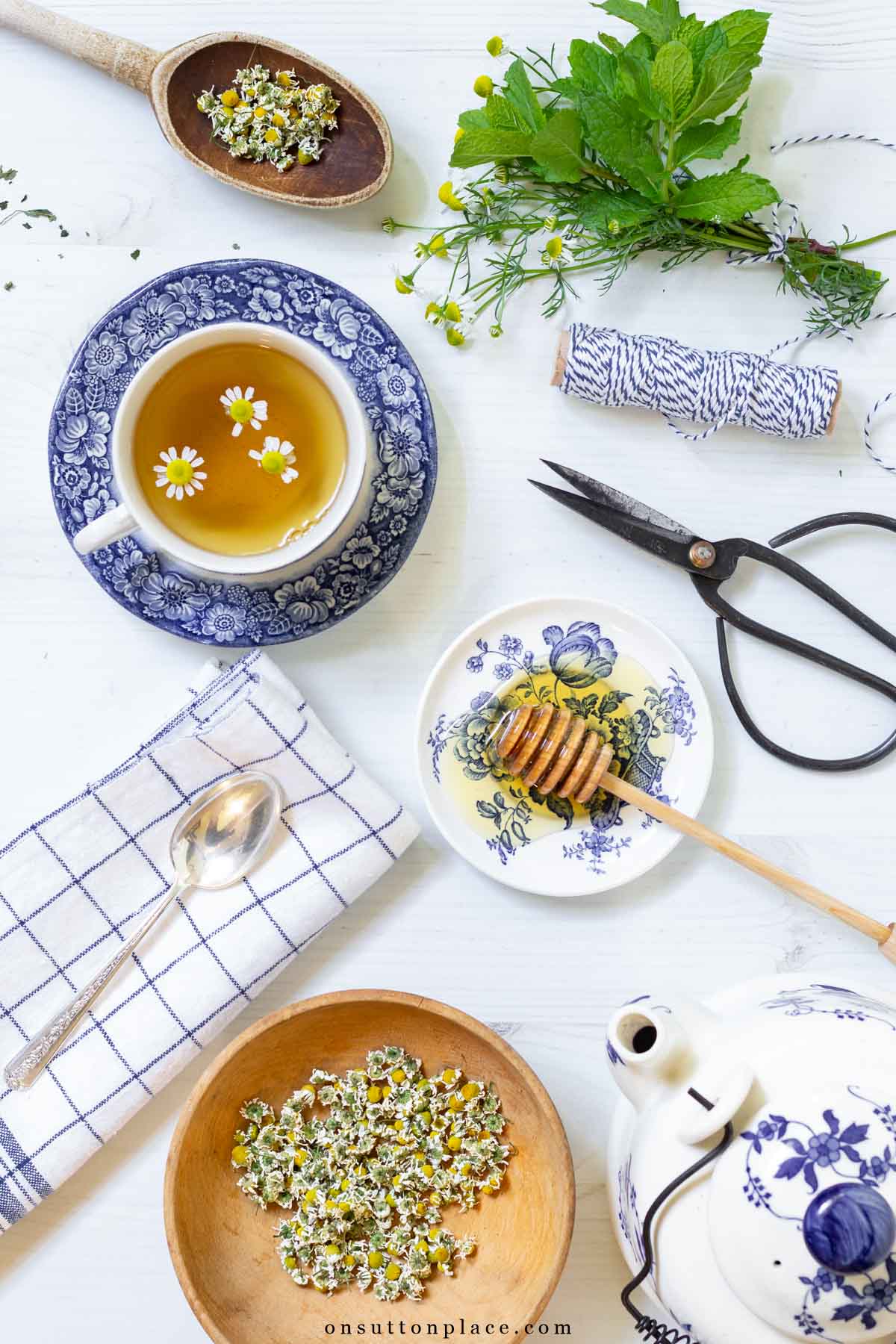 chamomile herbal tea recipe with dried buds