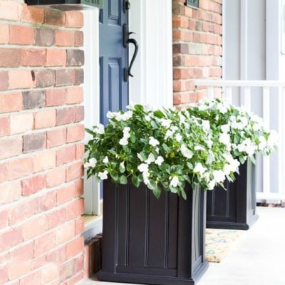 Summer Flower Planter Ideas with Impatiens