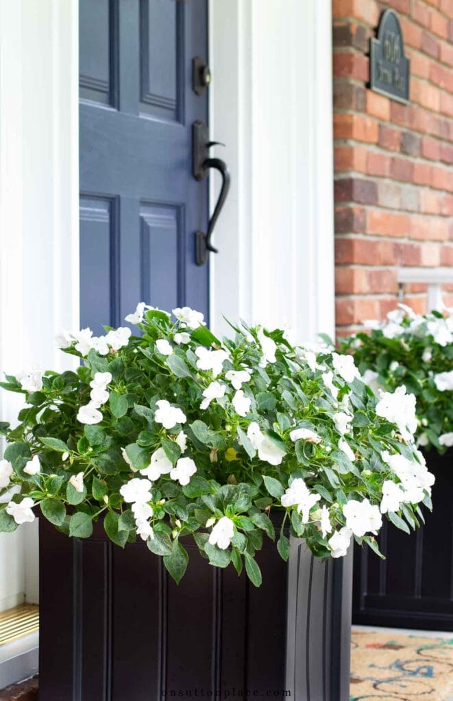 summer planter ideas on porch white impatiens