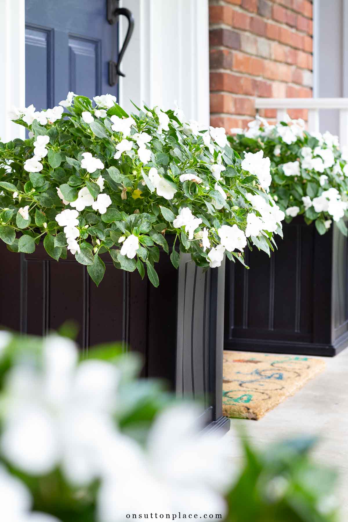 summer planter ideas white impatiens on porch