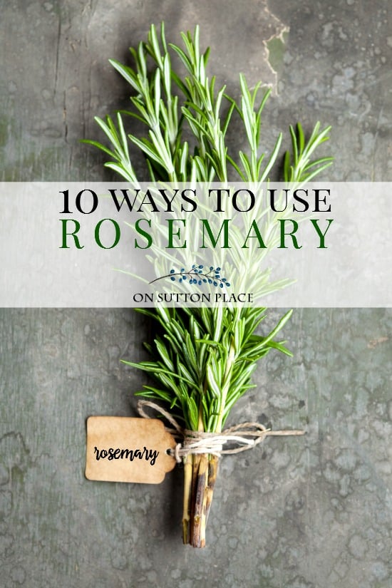 Rosemary Ideas | Recipes, Decor & More | Easy ways to use rosemary in your cooking, decor & beauty products.Things to do with rosemary. How to use rosemary.