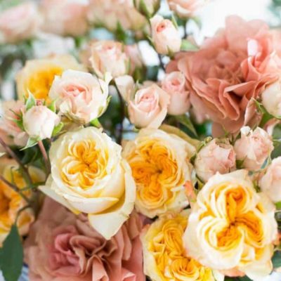 Paper Garden Flowers, Muffins, Shiny Floors & More