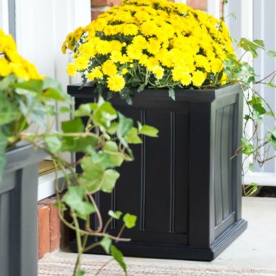 Front Porch Ideas: Fall Planters with Mums & More
