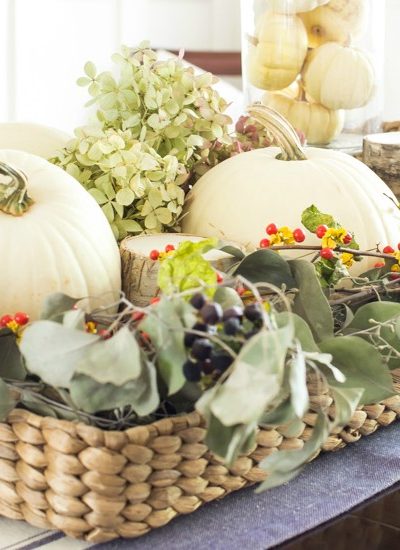 Pumpkins, Succulents, Shelves, and More!