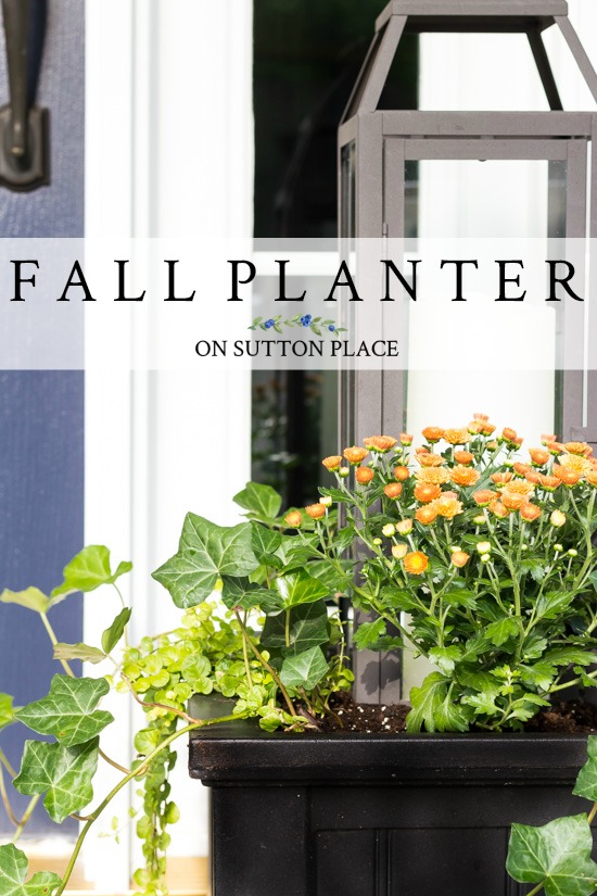An easy fall planter idea using lanterns, copper mums, ivy, and Creeping Jenny. This planter idea is super simple and quick to assemble! #fall #autumn #fallporch #fallporchdecor #porchdecor #frontporchideas #lanternplanter #falldecor #falldecorideas