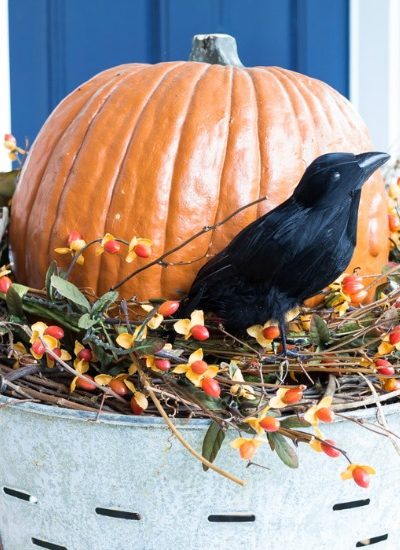 Pumpkins, Fall Decor, Halloween & More