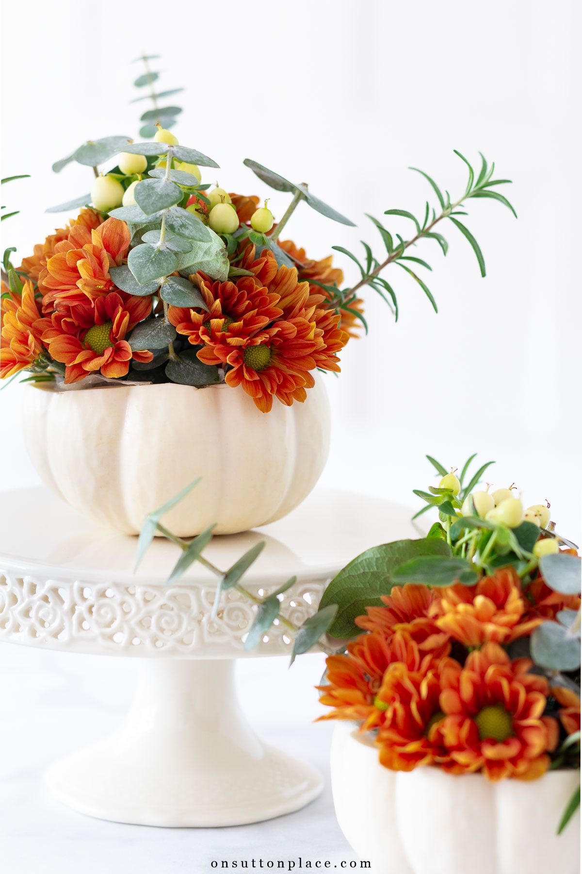 white mini pumpkin with russet mums