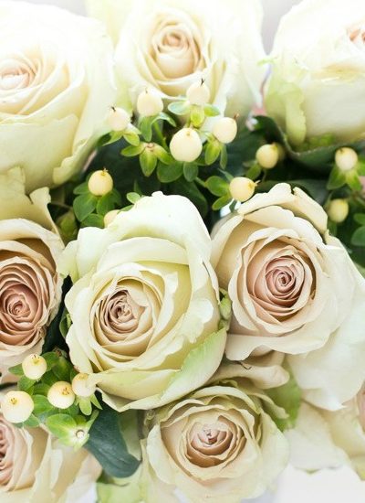 ivory roses how to beat the winter blues fi