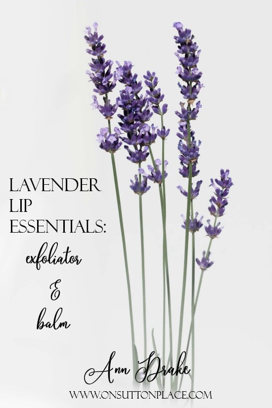 Lavender Lip Essentials | DIY Year-Round Lip Care: Make your own lavender lip exfoliator and lavender lip balm using basic ingredients & lavender essential oil. 
