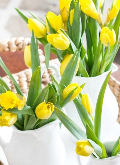 adding spring early hss fi